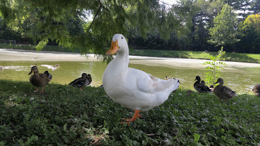 City Park «Krannert Park», reviews and photos, 605 South High School Road, Indianapolis, IN 46241, USA