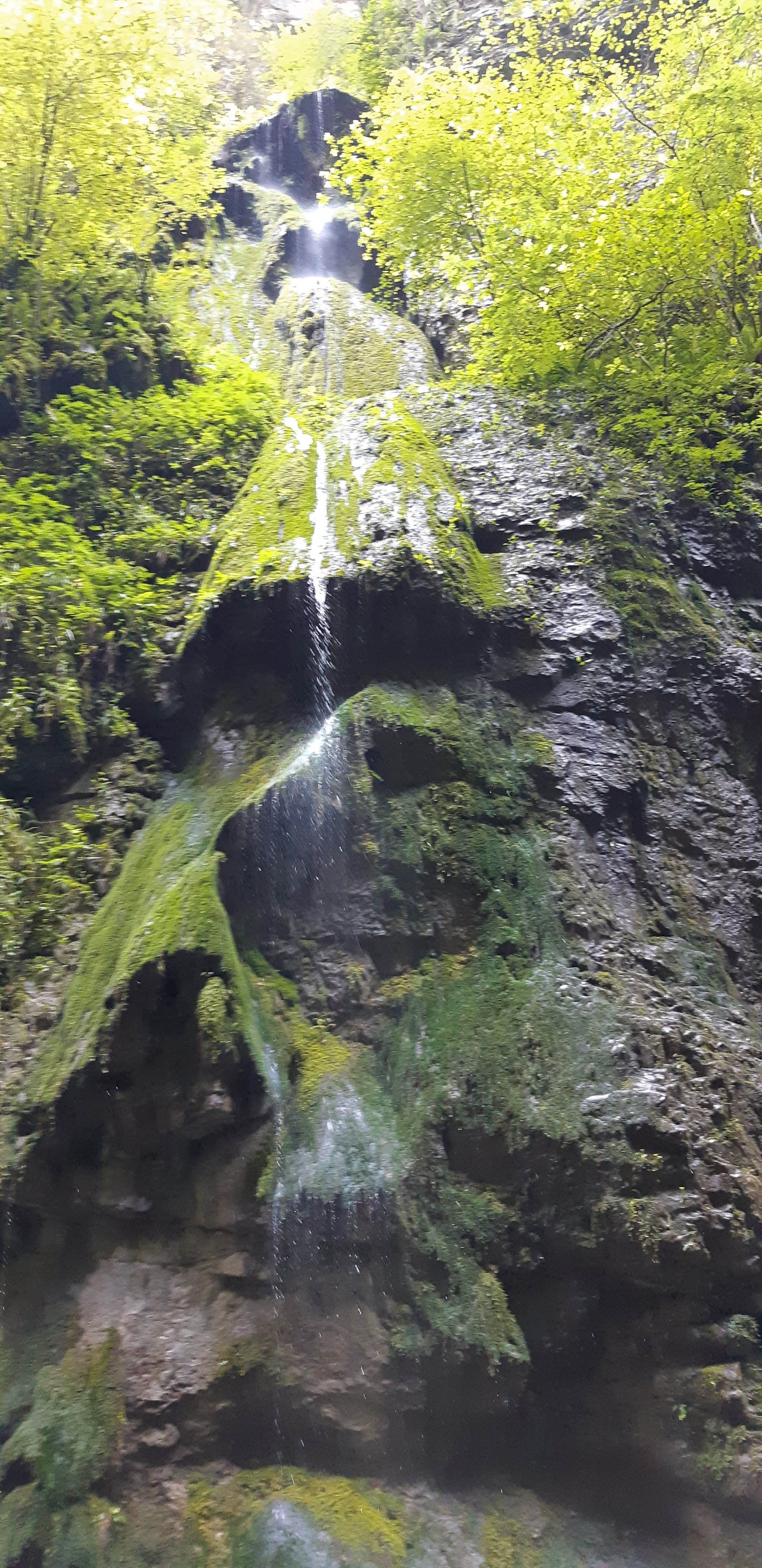 Photo n° 3 de l'avis de Jerome.u fait le 03/08/2018 à 08:23