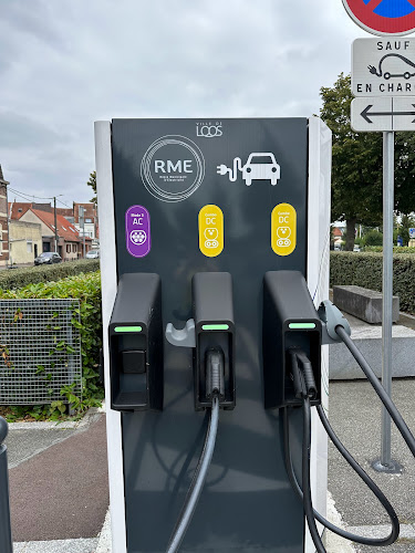 Borne de recharge de véhicules électriques Freshmile Charging Station Loos