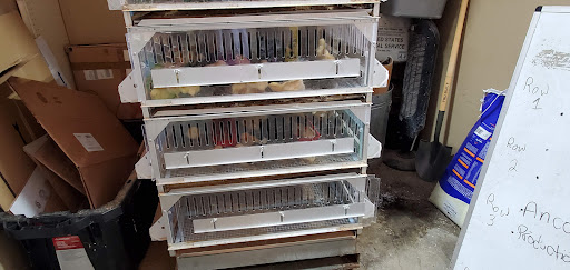 Animal Feed Store «Futrals Feed Store», reviews and photos, 3371 Palm Beach Blvd, Fort Myers, FL 33916, USA