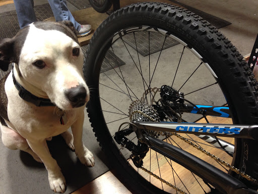 Bicycle Store «Cutters Bike Shop», reviews and photos, 418 E 3rd St, Bethlehem, PA 18015, USA