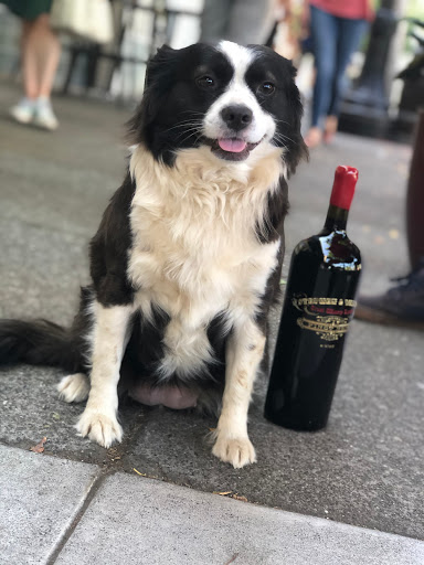 Winery «Stephen & Walker Winery», reviews and photos, 243 Healdsburg Ave, Healdsburg, CA 95448, USA