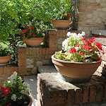 Photo n°19 de l'avis de Diana. fait le 10/07/2023 à 13:19 sur le  B&B Le Querce à Bruciato