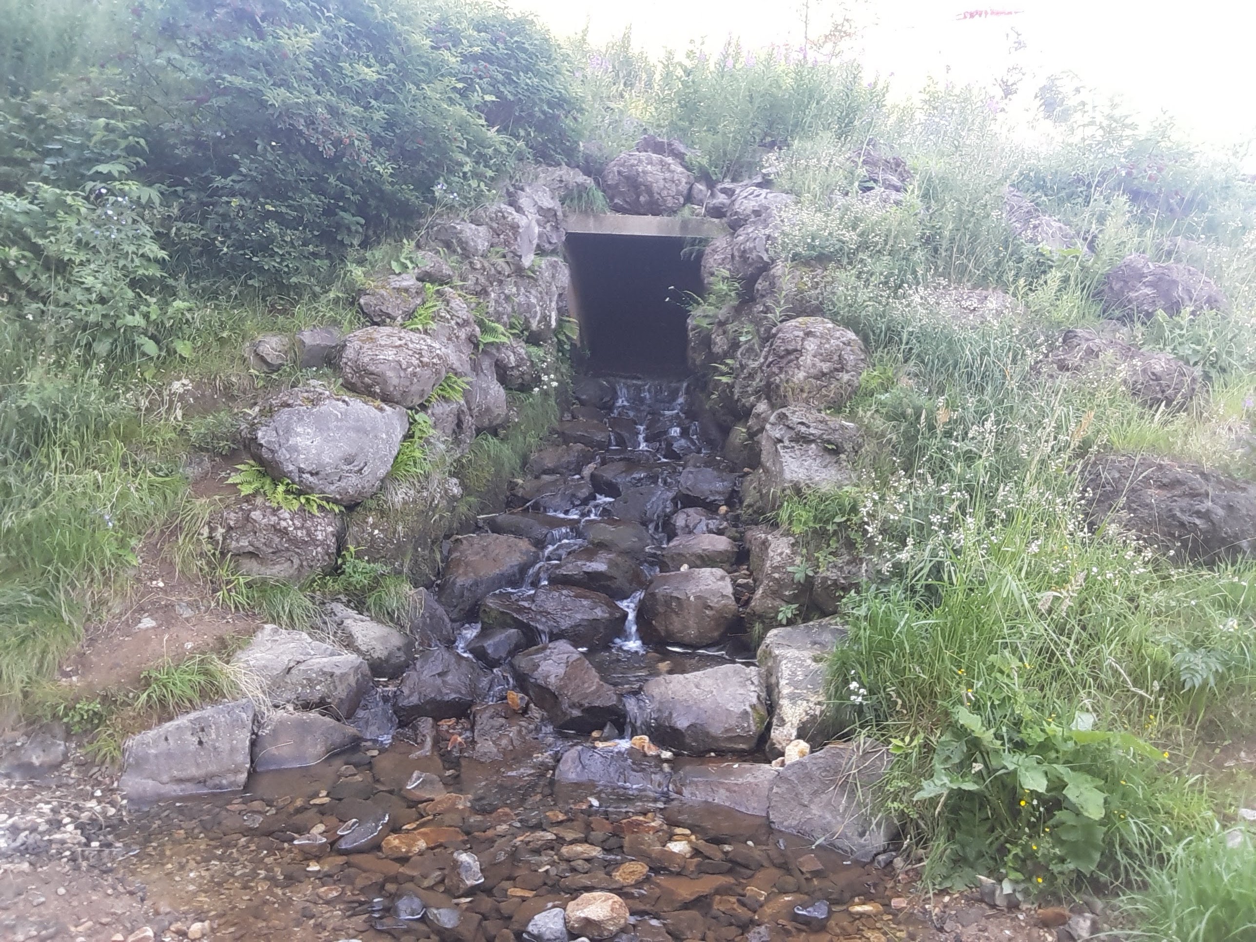 Photo n° 4 de l'avis de PATRICK.E fait le 08/08/2019 à 15:42