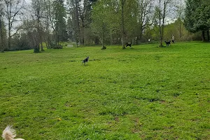 Kane Memorial Dog Park image