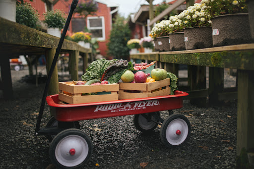 Garden Center «Nalls Produce», reviews and photos, 7310 Beulah St, Alexandria, VA 22315, USA