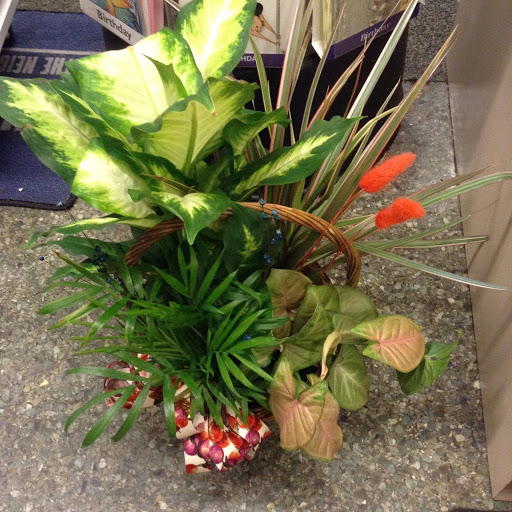 Florist «A New Leaf Flowers and Gifts», reviews and photos, 4106 Monona Dr, Madison, WI 53716, USA