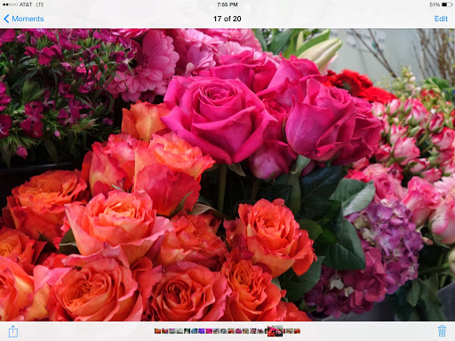Florist «Lane Florist», reviews and photos, 6616 Snider Plaza, Dallas, TX 75205, USA