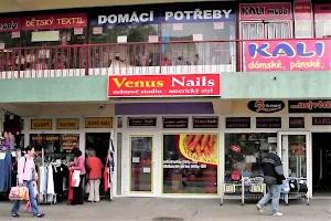 Venus Nails image