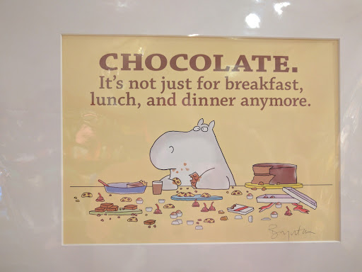 Book Store «Read Between the Lynes», reviews and photos, 111 E Van Buren St, Woodstock, IL 60098, USA