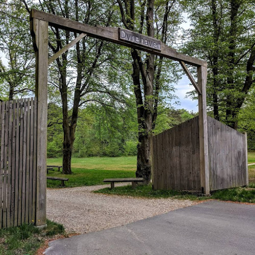 Anmeldelser af Esbjerg Disc Golf Bane i Esbjerg - Golfklub