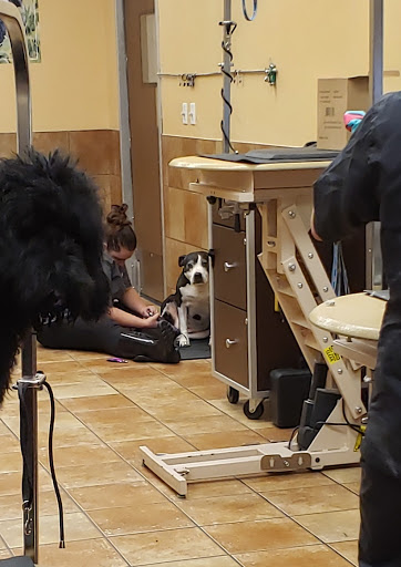 Pet Supply Store «PetSmart», reviews and photos, 1131 Sanguinetti Rd, Sonora, CA 95370, USA