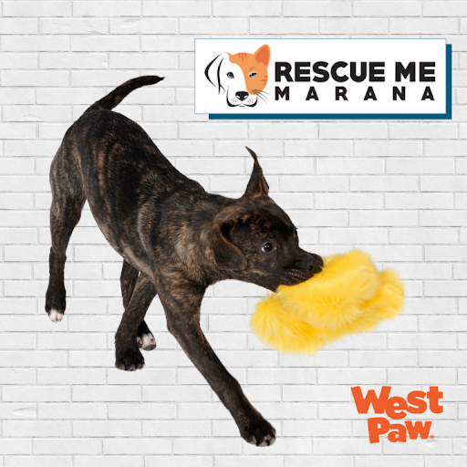 Rescue Me Tucson, Rescue Me Marana Pet Adoption Center