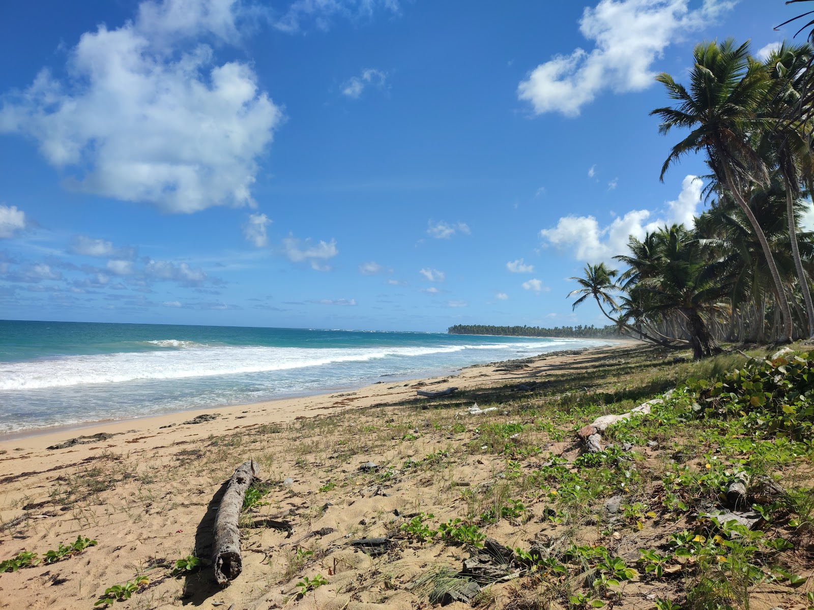 Foto di Playa Sabana Nisibon con una superficie del sabbia beige