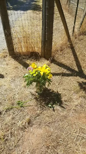 Florist «Miracle Flowers», reviews and photos, 610 E Bidwell St, Folsom, CA 95630, USA