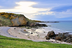 Cove Bay Beach'in fotoğrafı doğal alan içinde bulunmaktadır