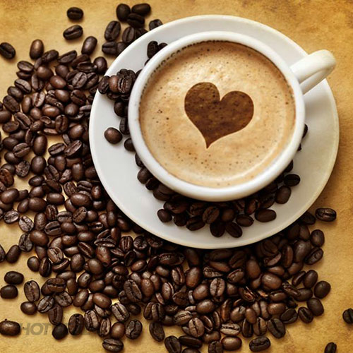 Cà Phê Sách Bách Việt