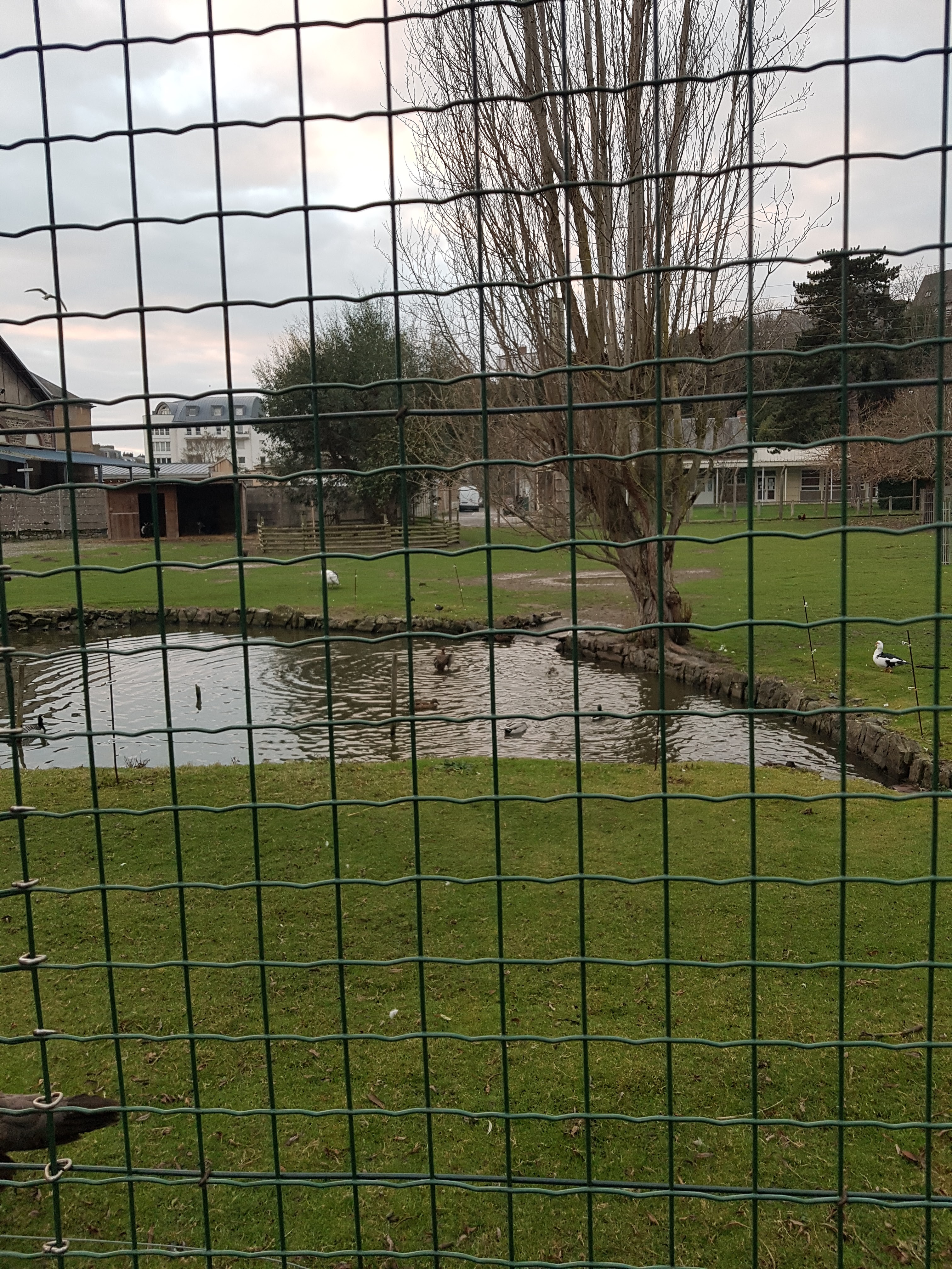 Photo n° 3 de l'avis de mélody.a fait le 30/12/2021 à 16:56