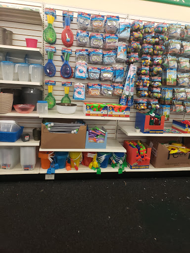 Dollar Store «Dollar Tree», reviews and photos, 12184 GA-92 #100, Woodstock, GA 30188, USA