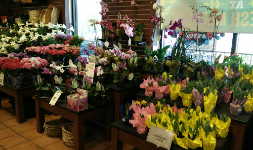 Grocery Store «The Fresh Market», reviews and photos, 890 William Hilton Pkwy, Hilton Head Island, SC 29928, USA