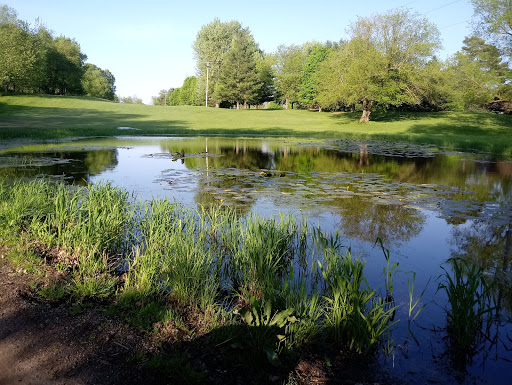 Golf Course «Pine Hills Golf Course», reviews and photos, 6603 Woodbury Rd, Laingsburg, MI 48848, USA