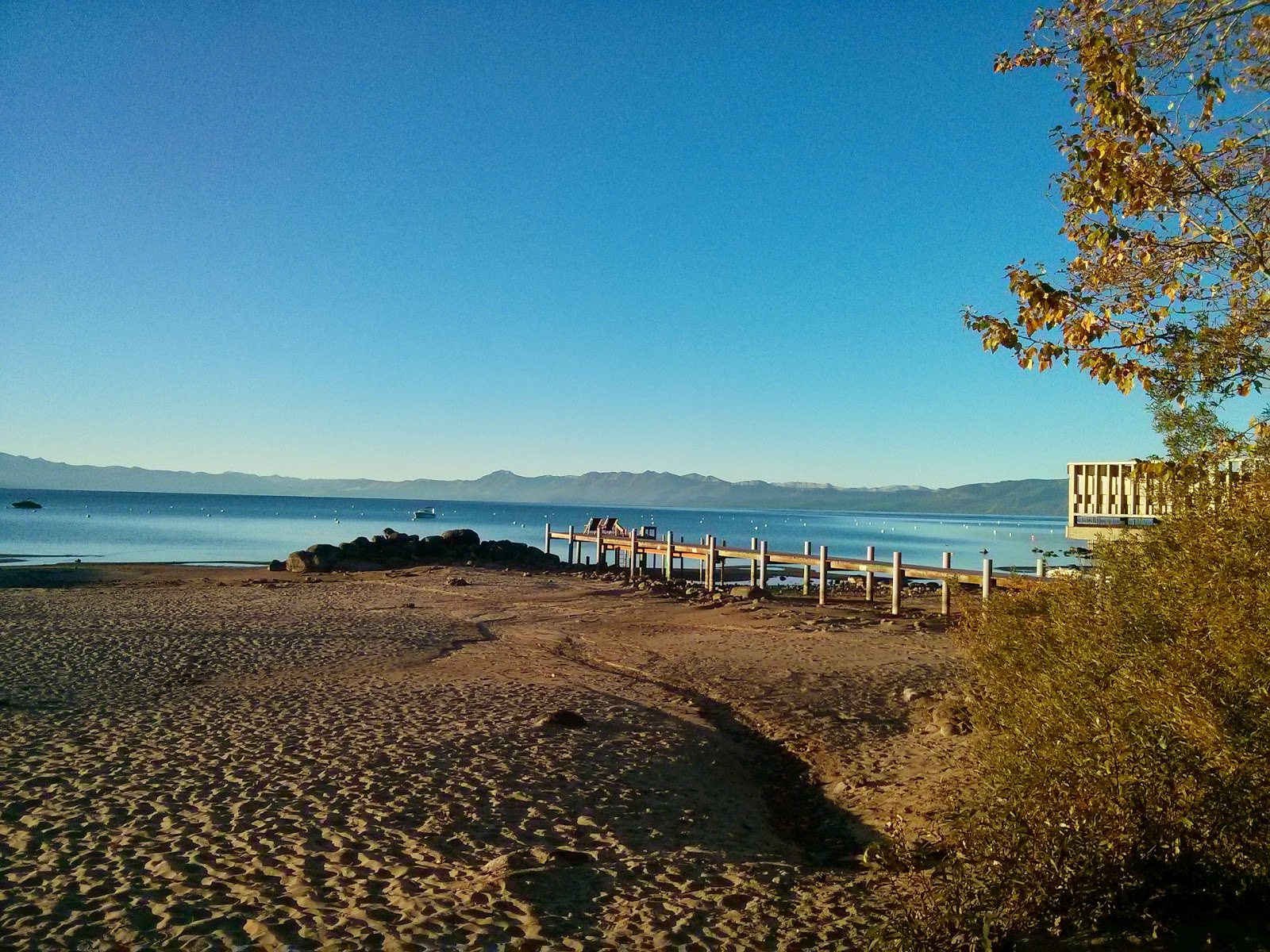 Moon Dune Beach photo #8