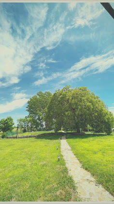 Vidéos Cottage Los Manantiales Casa Rural 02310 Viveros