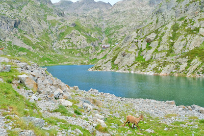 Lac de la Fous à Belvédère