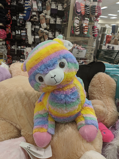 Home Goods Store «Christmas Tree Shops», reviews and photos, 1505 S Washington St, North Attleborough, MA 02760, USA