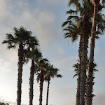 Photo n°2 de l'avis de Gianni.u fait le 10/07/2022 à 20:04 sur le  Le Mandrelle Beach Resort à Amantea