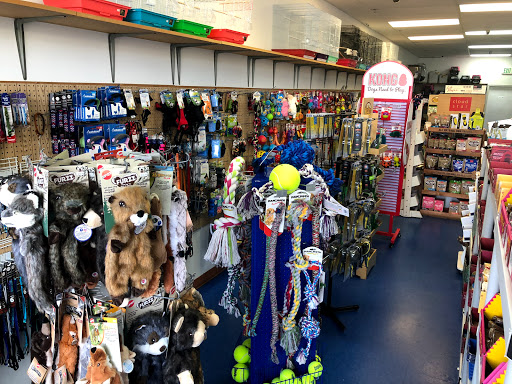 Pet Store «Pet Nation Llc», reviews and photos, 1898 Andorra St, Navarre, FL 32566, USA