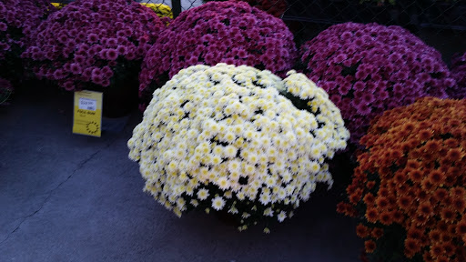 Home Improvement Store «The Home Depot», reviews and photos, 4200 Derry St, Swatara, PA 17111, USA