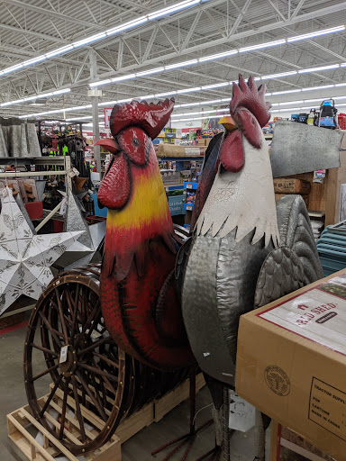 Home Improvement Store «Tractor Supply Co.», reviews and photos, 673 College Hwy, Southwick, MA 01077, USA