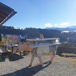 Photo n°1 de l'avis de Leines.1 fait le 10/11/2021 à 23:30 sur le  Alpe Mohr à Oberstaufen