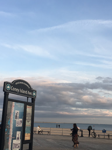 Community Center «Shorefront YM-YWHA», reviews and photos, 3300 Coney Island Ave, Brooklyn, NY 11235, USA