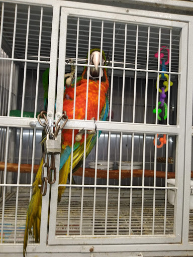 Pet Store «El Granero Pet Shop», reviews and photos, 15700 Atlantic Ave, Compton, CA 90221, USA