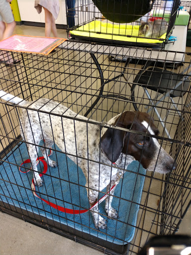 Pet Supply Store «Petco Animal Supplies», reviews and photos, 1011 University Blvd #100, Suffolk, VA 23435, USA