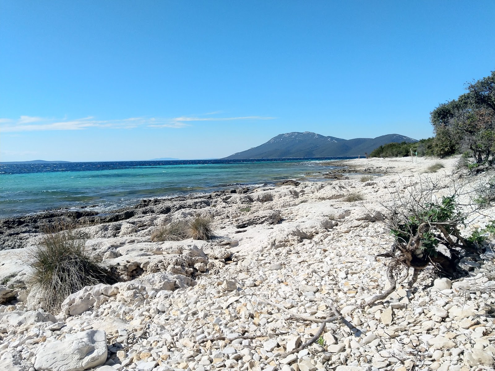 Φωτογραφία του Plaza Bijela με καθαρό νερό επιφάνεια