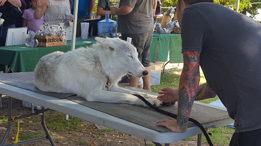 Museum «Heritage Museum of Orange County», reviews and photos, 3101 W Harvard St, Santa Ana, CA 92704, USA