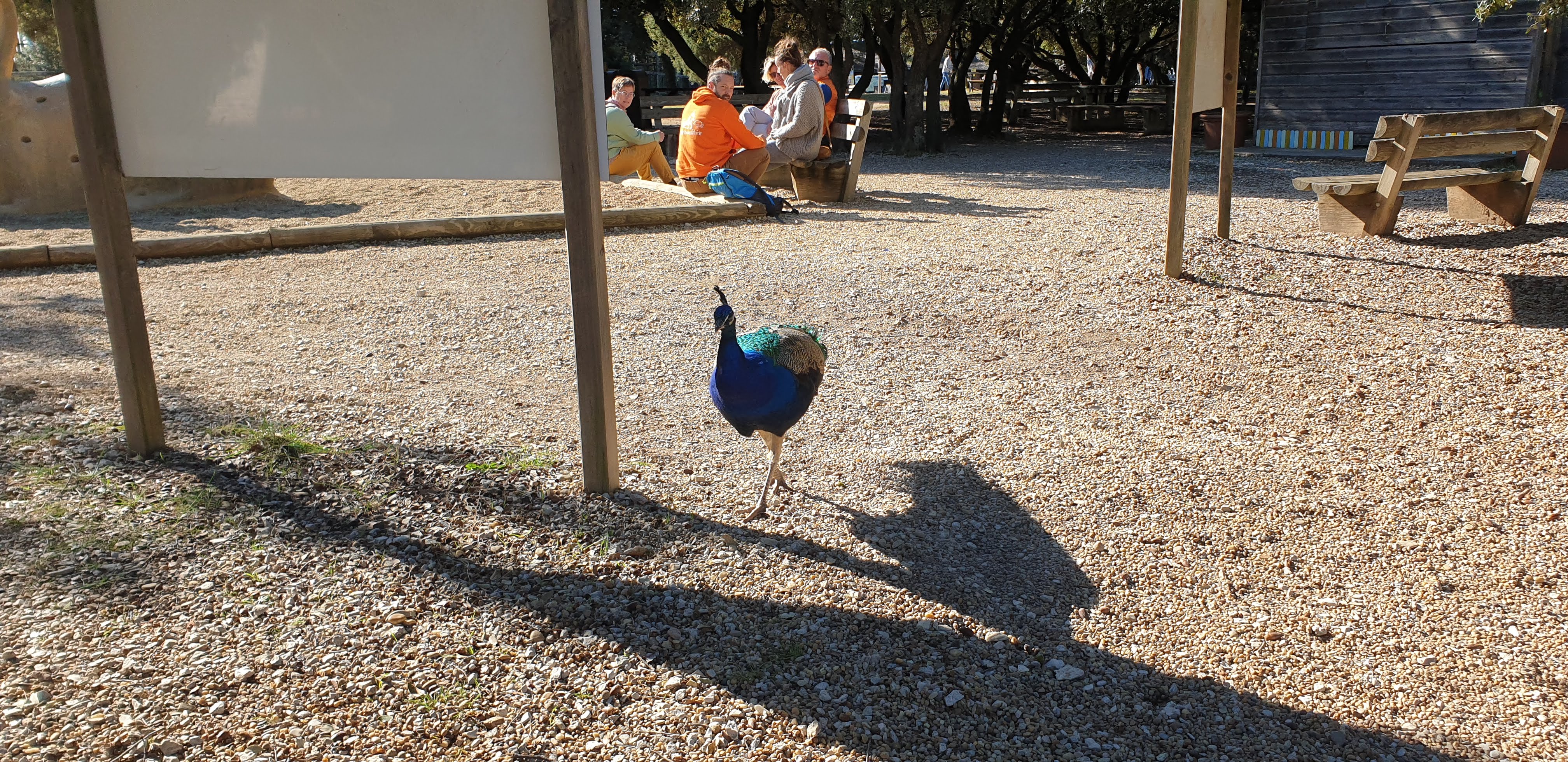 Photo n° 1 de l'avis de Roussillon.e fait le 20/11/2021 à 06:51