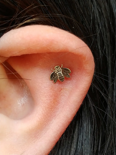 Body Piercing Shop «Steel N Ink Tattoo & Body Piercing», reviews and photos, 429 Water St, Eau Claire, WI 54703, USA