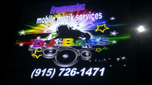 Frequencies Mobile Muzik Pro DJ Service