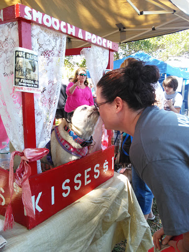 Community Center «Dunedin Community Center», reviews and photos, 1920 Pinehurst Rd, Dunedin, FL 34698, USA