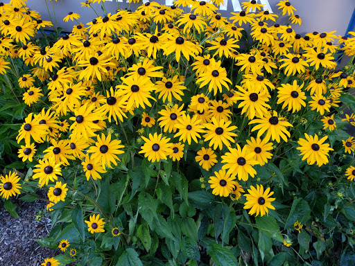 Park «Magnolia Park», reviews and photos, 1810 NW 192nd Ave, Hillsboro, OR 97124, USA