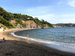 Foto von Plage des Bonnettes mit geräumige bucht