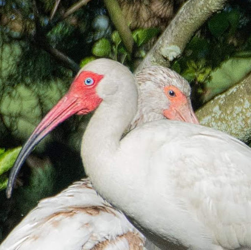  «Ocean City Welcome Center», reviews and photos, 300 W 9th St, Ocean City, NJ 08226, USA