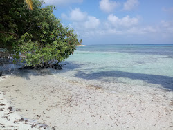 Foto di Spiaggia di Needle Island e il suo bellissimo paesaggio