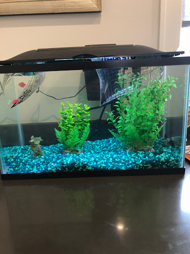 Pet Supply Store «PetSmart», reviews and photos, 291 Skokie Blvd, Northbrook, IL 60062, USA