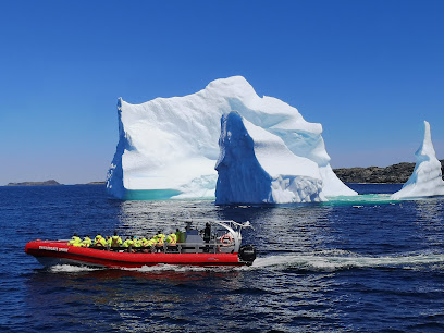 Iceberg Quest Ocean Tours