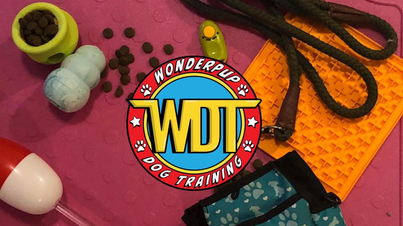 Wonderpup Dog Training & Behavior Services